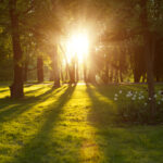 The Invitation to Rise Again