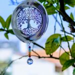 Listening Inward: How Intuition Speaks Through the Four Clairs