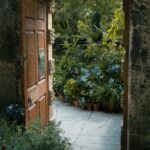 Everything Expands When We Stay Open