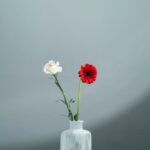 When Opposites Invite Us to Grow